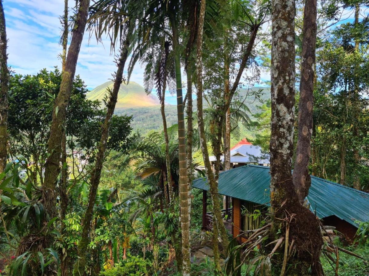Rimba Eco Resort Tomohon Exterior photo