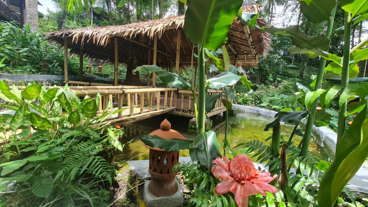 Rimba Eco Resort Tomohon Exterior photo