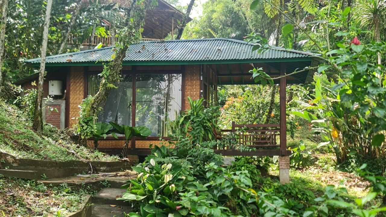 Rimba Eco Resort Tomohon Exterior photo
