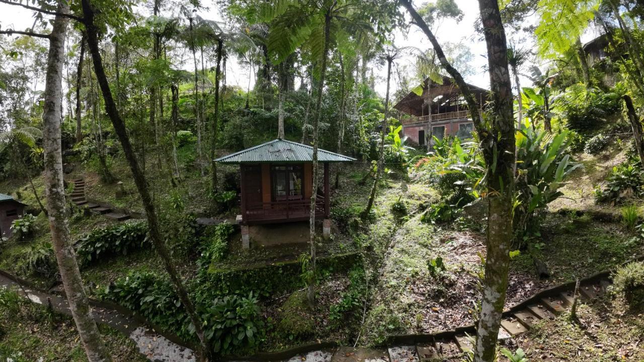 Rimba Eco Resort Tomohon Exterior photo