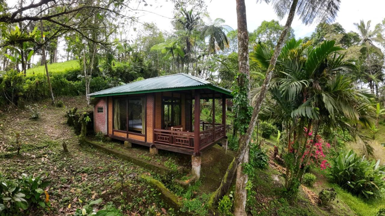 Rimba Eco Resort Tomohon Exterior photo