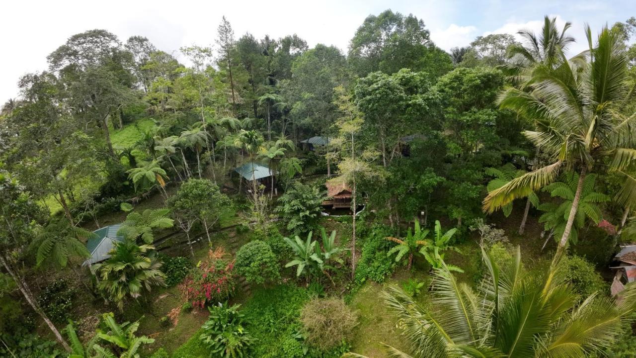 Rimba Eco Resort Tomohon Exterior photo