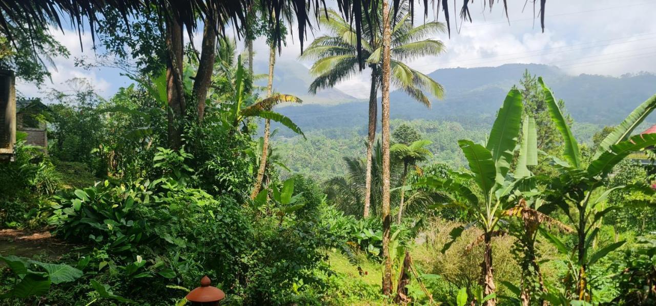 Rimba Eco Resort Tomohon Exterior photo