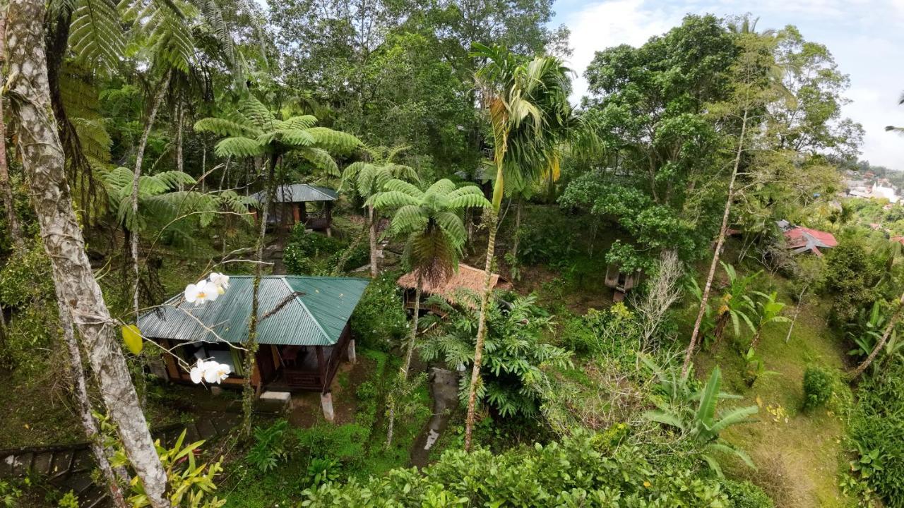 Rimba Eco Resort Tomohon Exterior photo