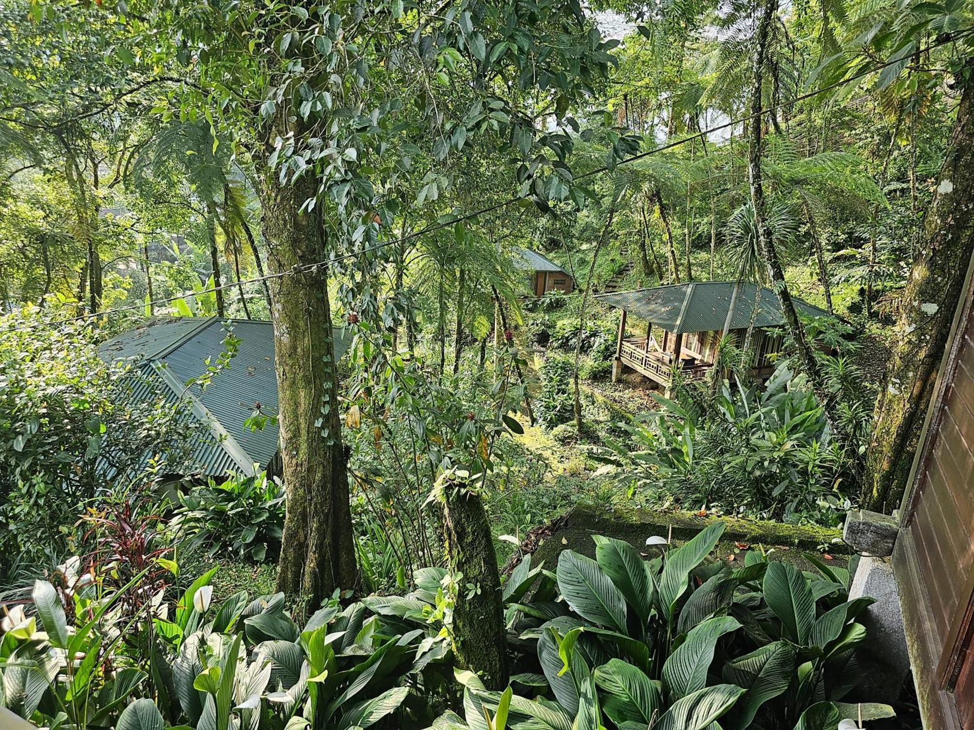 Rimba Eco Resort Tomohon Exterior photo